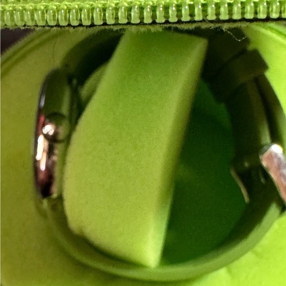 Philip Stein Fruitz Stainless Steel Natural Frequency Tech Silicon Band Watch - Picture 2 of 4